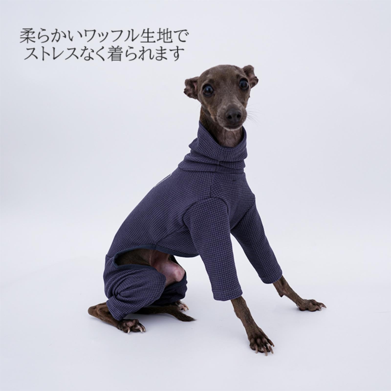 イタグレ服　ロンパース　2点おまとめ 送料無料 イタリアングレーハウンド 服 イタグレ イタグレ専用服